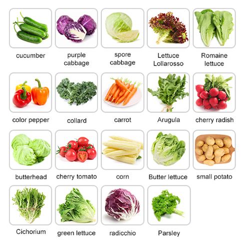 Vegetable washing, cutting, and packaging line
