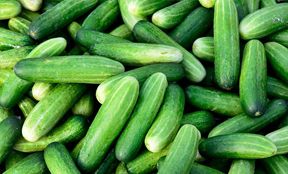 cucumber